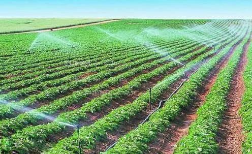 骚货逼被艹烂了农田高 效节水灌溉